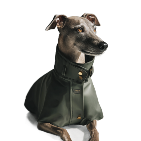 netbt_A_luxury_waterproof_dog_raincoat_worn_by_a_purebred_dog_2ff85279-9505-4568-b68b-2eaf9b6a0d00_2